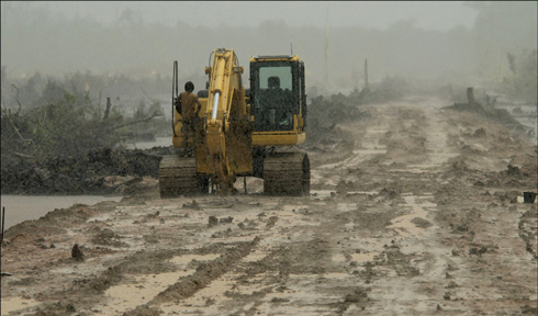 Zona destruída da floresta tropical do Bornéu, na Indonésia
