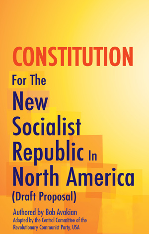 Constituição Socialista
